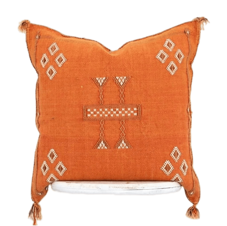Handmade cactus silk Moroccan pillows