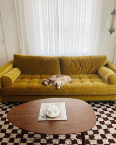 Brown Checkered area rug - Moroccan Berber rug
